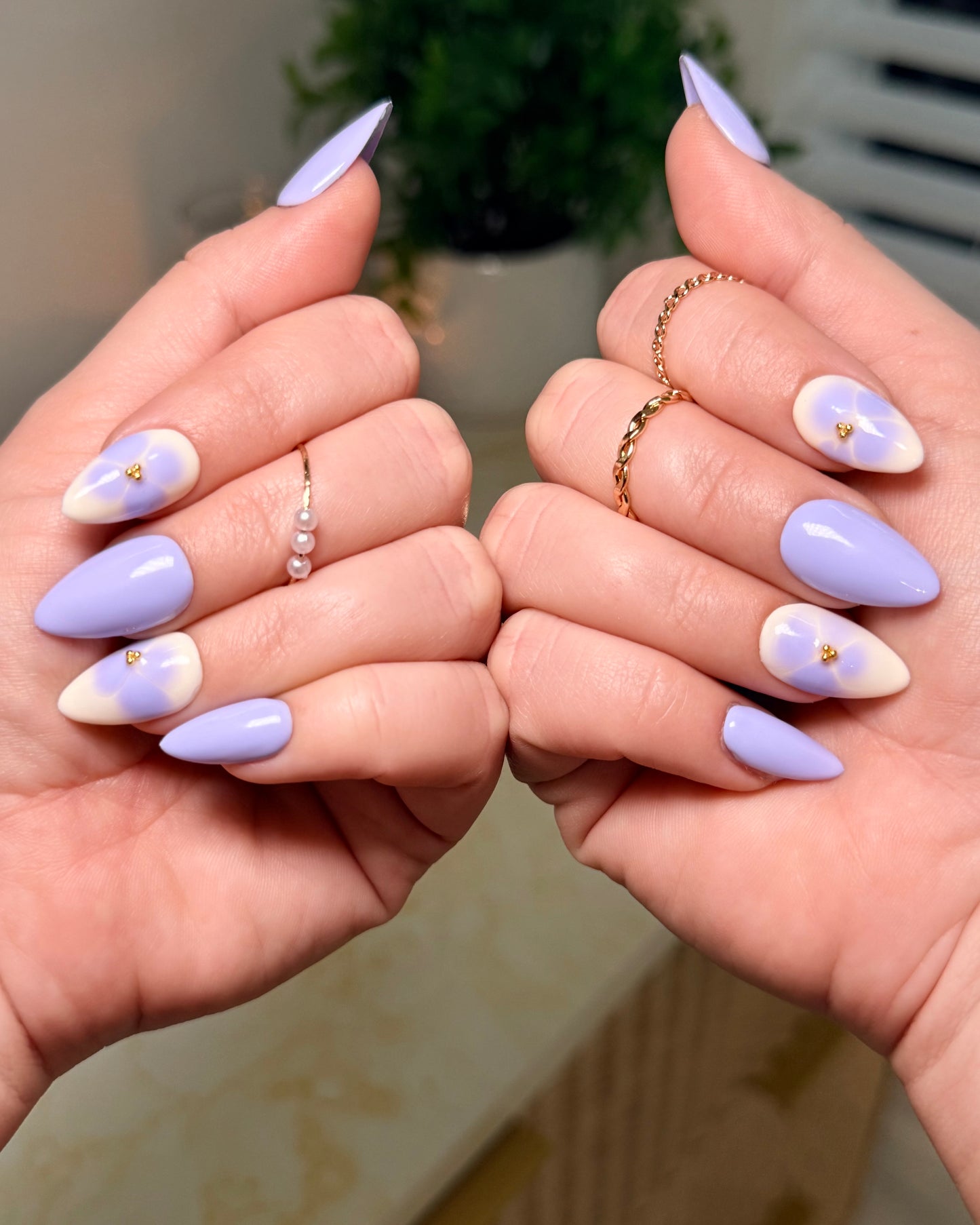 Lavender Dream